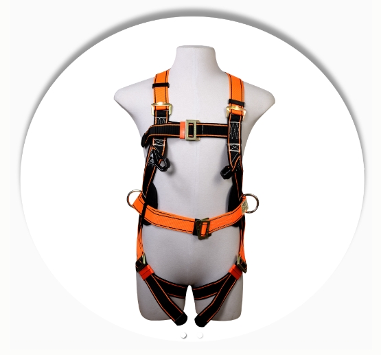 ชุดสายรัดลำตัว ชนิดเต็มตัว (Full Body Harness)